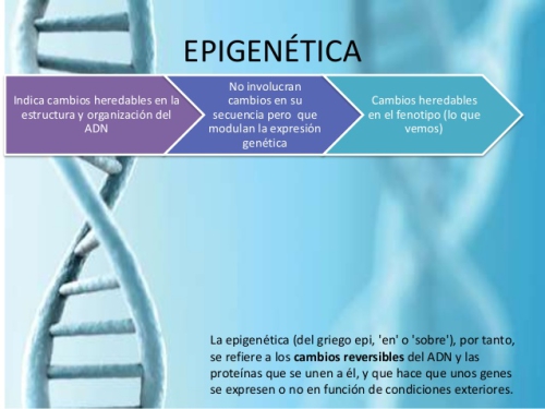 epigenetica-y-su-impacto-en-la-salud-3-638